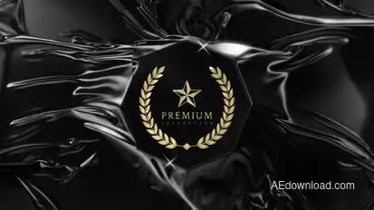 Elegant Reveal Logo Stings template preview