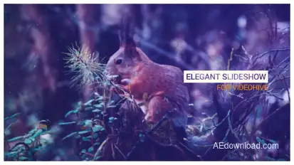 Elegant Slideshow Video Displays template preview