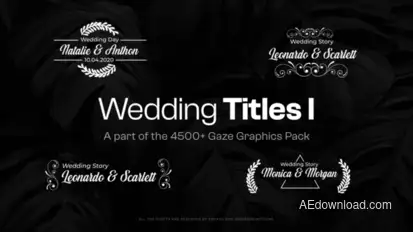 Elegant Wedding Titles Titles template preview