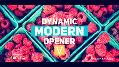 Dynamic Stomp Opener Openers template preview