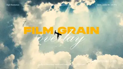 Film Grain Overlay Pack for After Effects Elements template preview