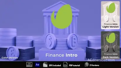 Finance Intro Logo Stings template preview