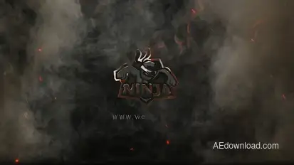 Fire Explosion Logo Logo Stings template preview