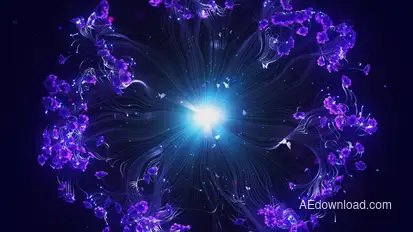 Floral Ident Logo Stings template preview