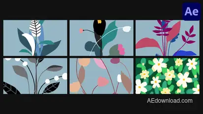 Flower Animated Backgrounds | After Effects Elements template preview