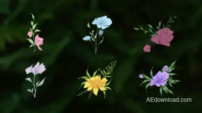 Flower Romantic Animation Elements Elements template preview