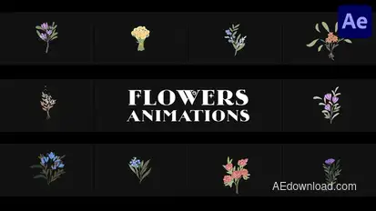 Flowers Falling Into Petals Animations for After Effects Elements template preview