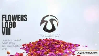 Videohive Flowers Logo V3 Logo Stings template preview