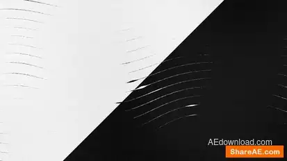 Fluid Lines Logo Reveal Logo Stings template preview