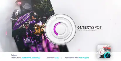 Geisha Video Displays template preview