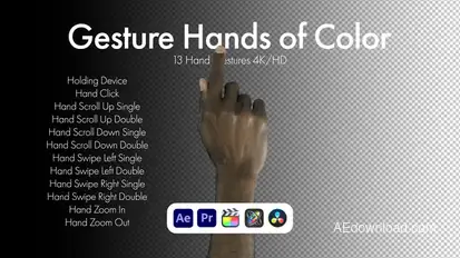Gestures Hands of Color Elements template preview