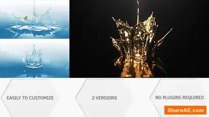 Gold And Water Splashes | Logo Reveal Logo Stings template preview