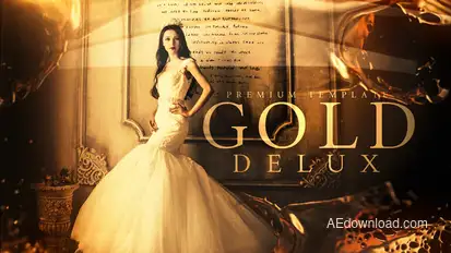 Gold Delux Video Displays template preview