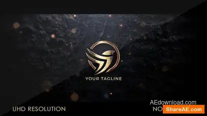 Gold Logo Reveal Logo Stings template preview