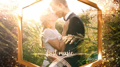 Gold Wedding Slideshow Video Displays template preview