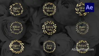 Wedding Titles Titles template preview