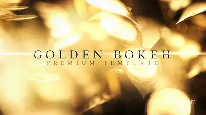 Golden Bokeh Video Displays template preview