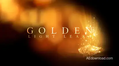 Golden Light Leaks Video Displays template preview