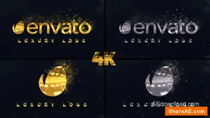 Golden Logo Reveal Logo Stings template preview