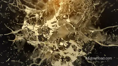 Golden Splash Logo Reveal Logo Stings template preview