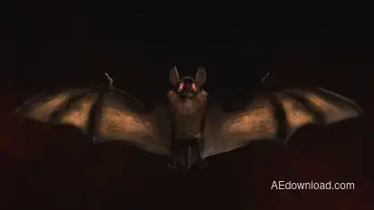 Halloween Bat Logo Logo Stings template preview