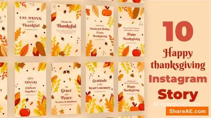 Videohive Happy Thanksgiving Instagram Stories Openers template preview