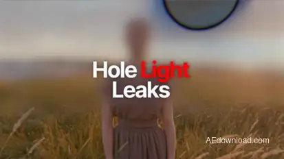 Hole Light Leaks Elements template preview