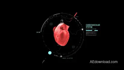 HUD Heart Chambers Infographics template preview