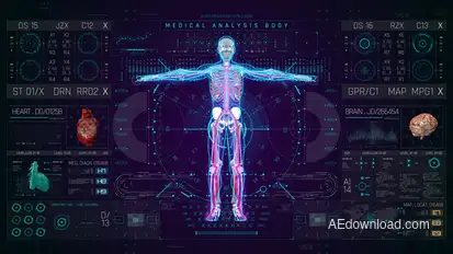 HUD PRO Medical Body Elements template preview