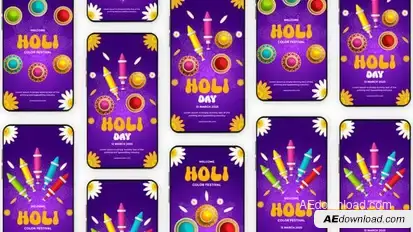 Videohive Indian Festival Holi Instagram Story 56555697 Elements template preview
