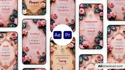 Videohive Indian Wedding Instagram Story Template Elements template preview