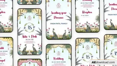 Videohive Indian Wedding Invitation Instagram Story Elements template preview