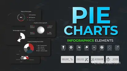 Infographic - Pie Charts Infographics template preview