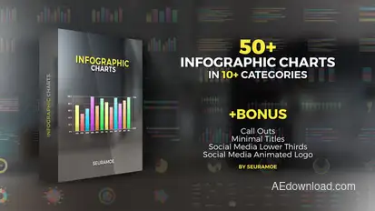 Infographic Charts Infographics template preview