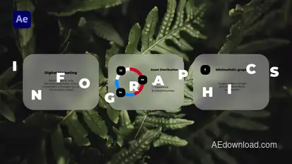 Infographics Infographics template preview