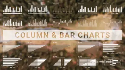 Column & Bar Charts Infographics template preview