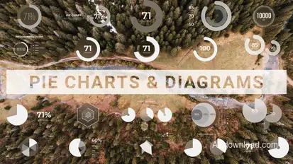 Pie Charts & Diagrams Infographics template preview