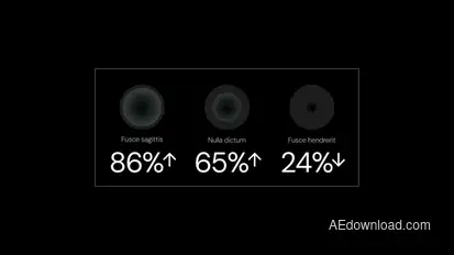 Infographics Infographics template preview