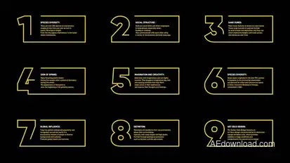 Infographics Boxes Infographics template preview