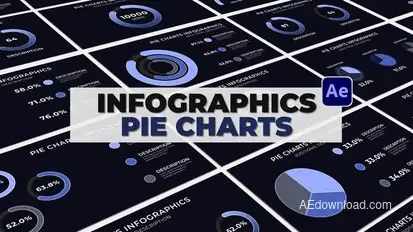 Infographics Pie Charts Infographics template preview
