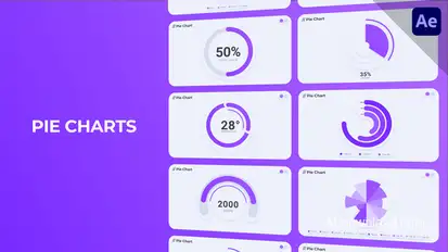 Infographics Pie Charts Infographics template preview