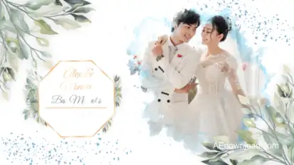 Ink Wedding Slideshow Video Displays template preview