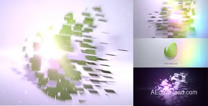 Intro Outro Logo Logo Stings template preview