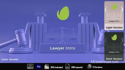 Lawyer Intro Logo Stings template preview