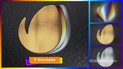 Leather Box Intro Logo Stings template preview