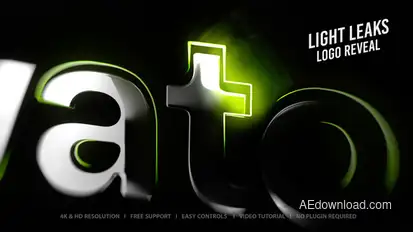 Logo Animation Logo Stings template preview