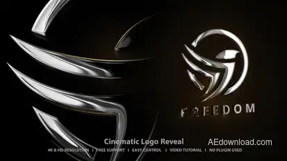 Logo Intro Logo Stings template preview