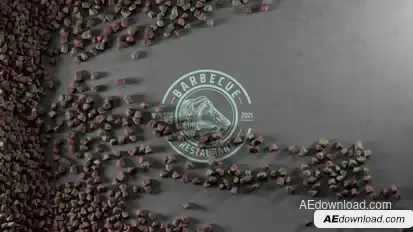 Logo Opener Logo Stings template preview