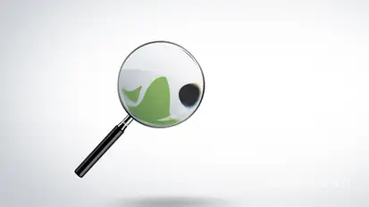 Logo Reveal Logo Stings template preview