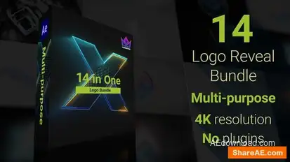 Logo Reveal Bundle | 14 in One Logo Stings template preview